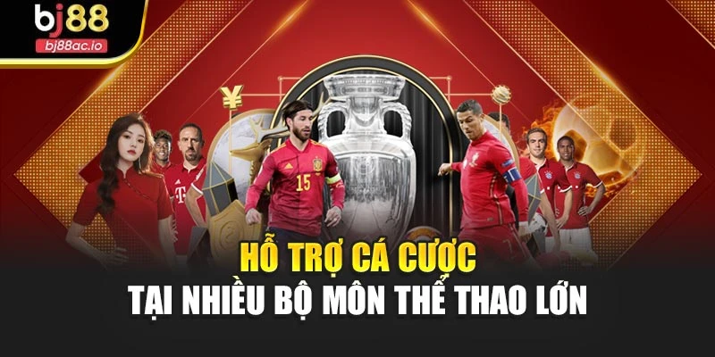 Hỗ trợ cá cược tại nhiều bộ môn thể thao lớn
