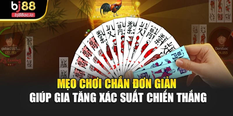 Mẹo chơi chắn đơn giản giúp gia tăng xác suất chiến thắng